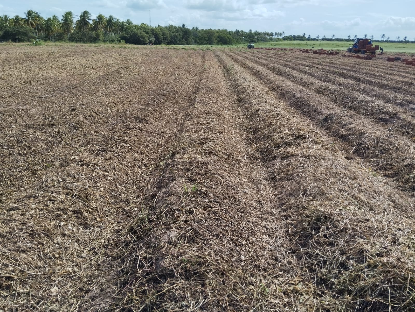 Imagem do WhatsApp de 2024-07-01 à(s) 15.35.36_2cbcf763